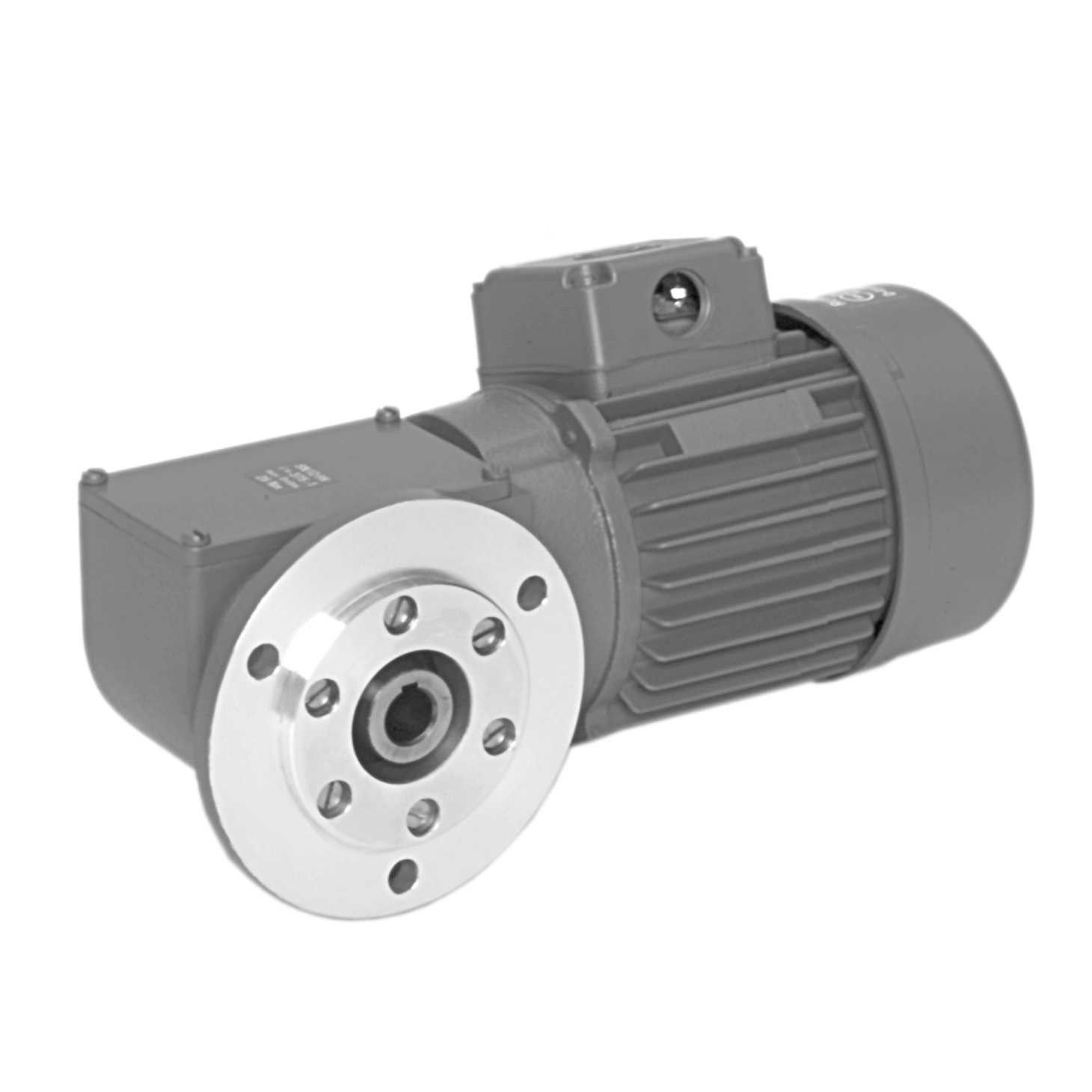 Motoréducteur à Vis Sans Fin 0.25 KW 0.18 - Réducteur De Vitesse Triphasé | Moteur électrique Industriel Petite Puissance | Réducteur Pour Convoyeur Petit Levage