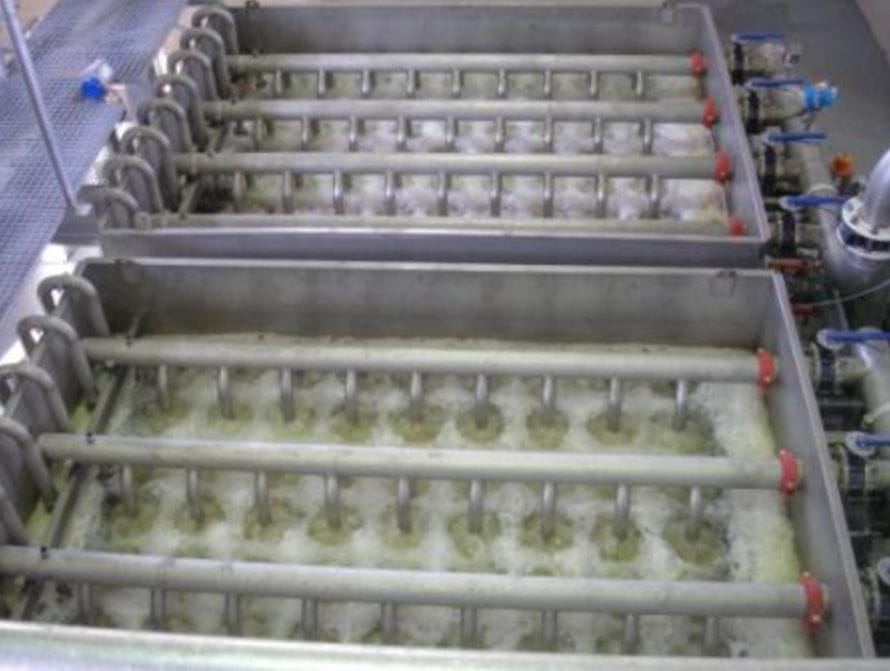 Filtro Acqua NSA Unità Batteriostatica Modello 50C, GAC Per Cloro E Odori, Made In USA