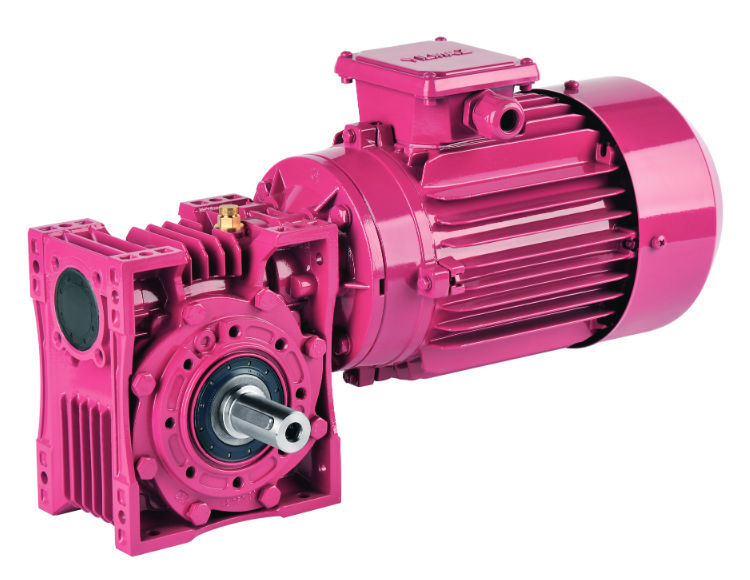 Motoriduttore DC 24V Con Vite Senza Fine - Reversibile, Albero 8mm, 20 RPM - Per Tendaggi E Automazione - Foto 11