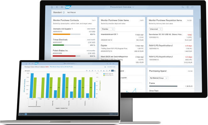 Software di ERP - S/4HANA - SAP - di regolazione / di basi di dati ...