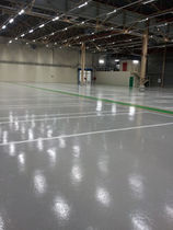 Resina epossidica / per rivestimento di...