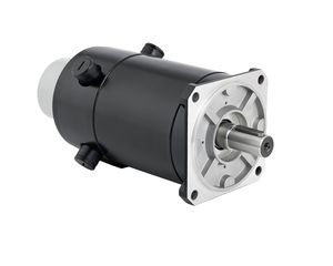 motore a corrente continua / a spazzola / 48V / 100 V