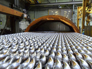 scambiatore di calore a fascio tubiero / liquido/liquido / liquido/gas / gas/gas