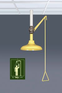 doccia di sicurezza per montaggio a soffitto