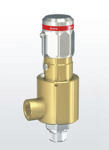 valvola di sicurezza per gas 1