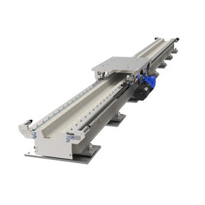 asse lineare elettrico