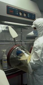 isolatore di confinamento sterile