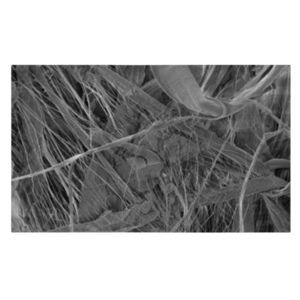 materiale filtrante PTFE 1
