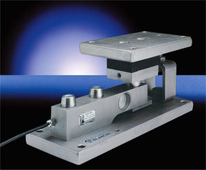 modulo di pesatura