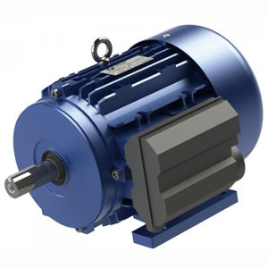 motore monofase / asincrono / 220V / 110 V