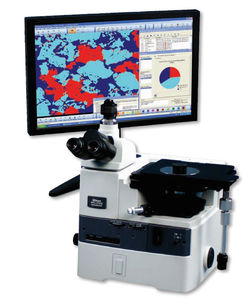 software di analisi delle immagini