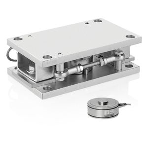 modulo di pesatura in acciaio inossidabile 1