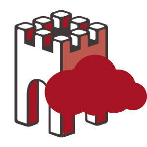 soluzione software server / cloud / basata sul web
