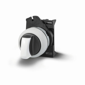 interruttore rotativo