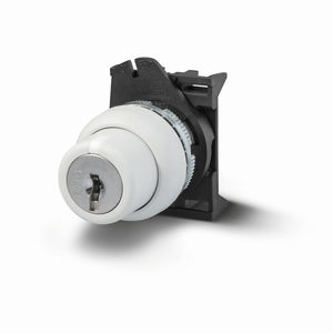 interruttore rotativo