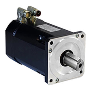 servomotore brushless