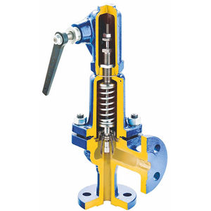 valvola di sicurezza per gas