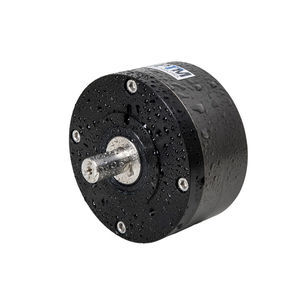 motore pneumatico IP67