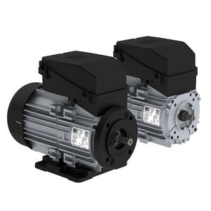 motore AC 1