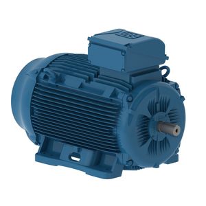motore AC 1