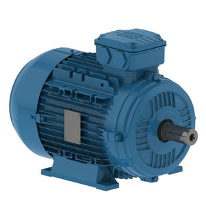 motore AC 1