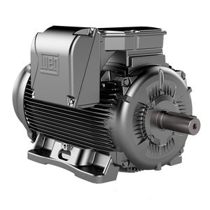 motore AC 1