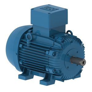 motore trifase 1