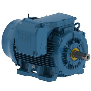 motore trifase 1