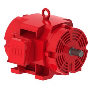 motore trifase 1