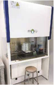 postazione di sicurezza microbiologica 1