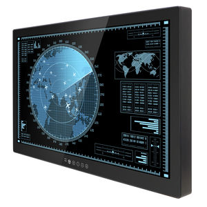 monitor LCD 1