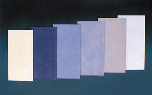 foglio di molibdeno