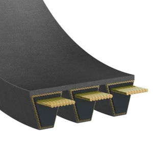 cinghia trapezoidale 1