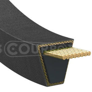 cinghia trapezoidale 1
