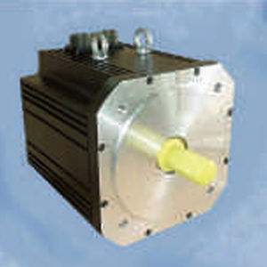 servomotore brushless
