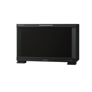 monitor LCD / digitale / 17