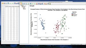 software di gestione