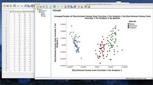 software di analisi statistica