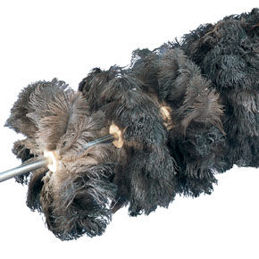 spazzola cilindrica