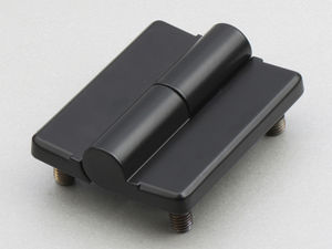 cerniera a pianoforte