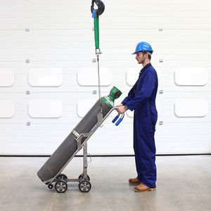 carrello per movimentazione