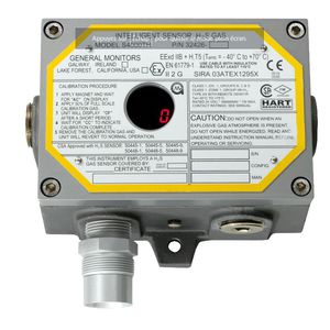 rilevatore di gas 1