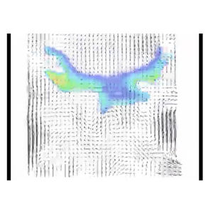 strumento di visualizzazione di flusso PLIF
