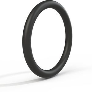 anello di tenuta BS 1