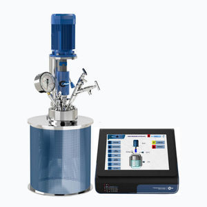 reattore con autoclave ad alta pressione