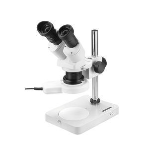 stereomicroscopio elettronico 1