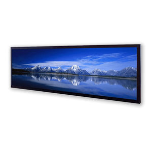 monitor LCD 1
