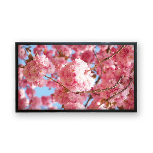 monitor LCD