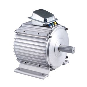 motore brushless