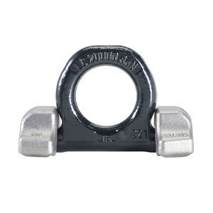 anello d'ancoraggio a D